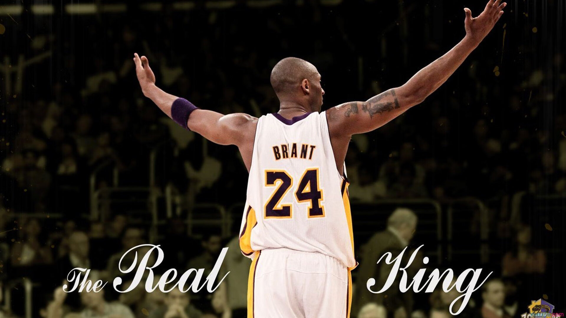 体育焦点人物专题节目上线,湖南焦点体育